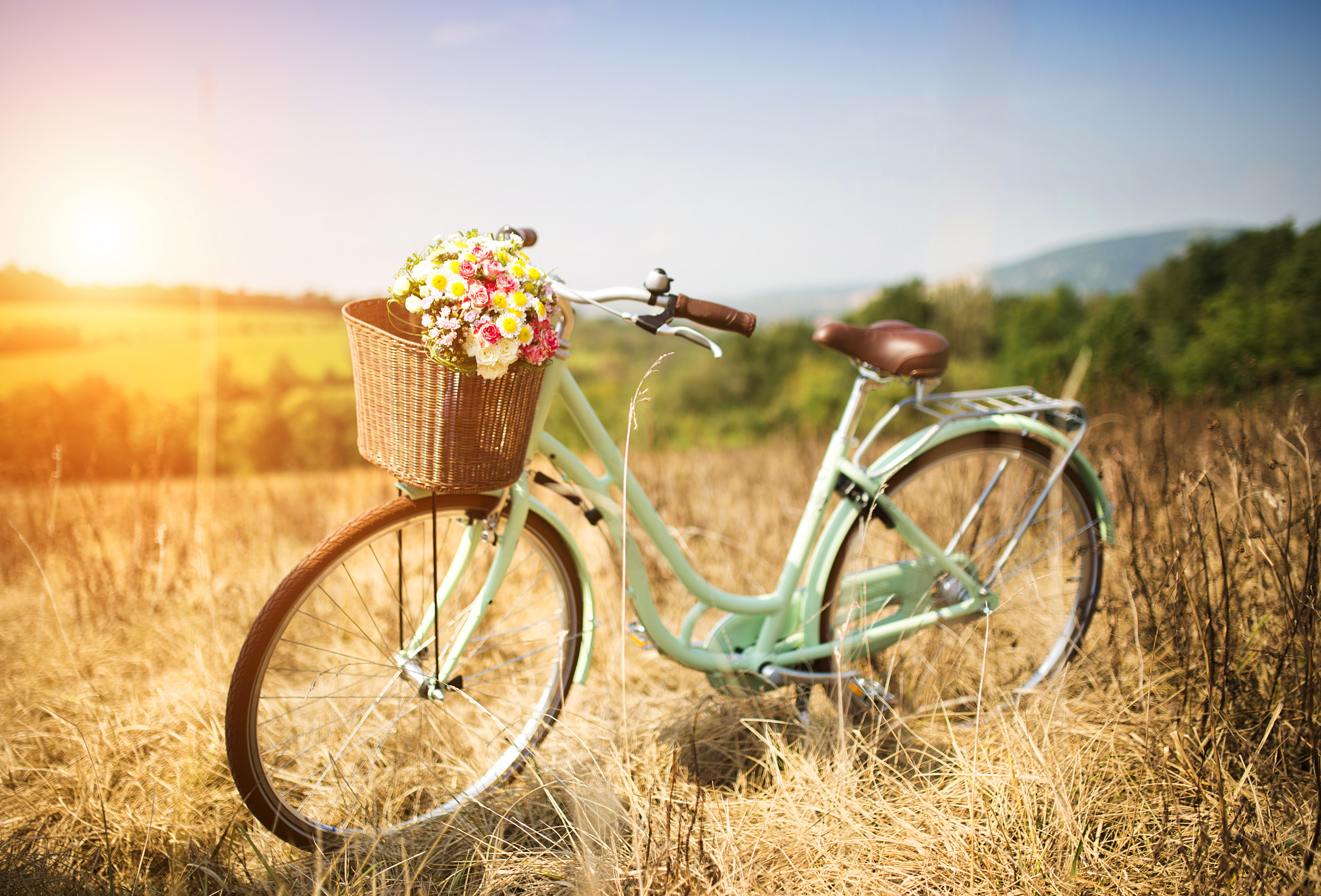 canstockphoto26442833